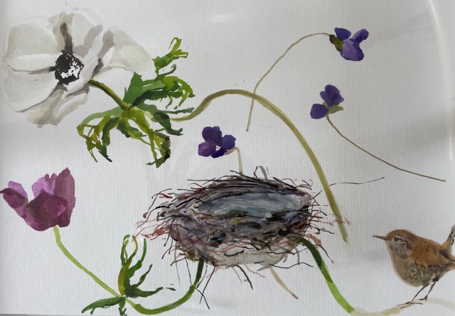 Lot16  Nickie Carlyon		'New Nest'	watercolour ink on card /framed	32x43cm	  reserve &pound;30 nickiecarlyon.com