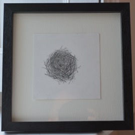 Gilly Cooper, Little nest, Graphite on paper , framed 13x13cm work only.JPG